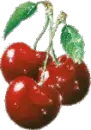 sweet cherries