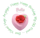Happy Birthday! - Belle