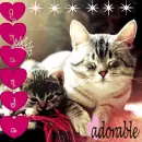 for amanda. :3 