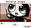 potterpuffs