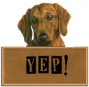 YEP! I LUV IT! DOG