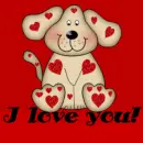 i love u val. dog