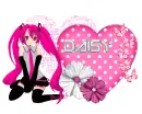 My sweet friend-Daisy