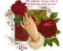 Fragrance Of A Rose - Rita