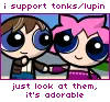 i support tonks/lupin