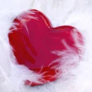 HAPPY VAENTINE'S DAY 2010