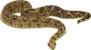 glitter snake