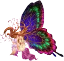 butterfly fairy