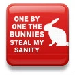 stupid bunnehh! :O