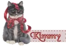 Black Cat with Bow - Kimmy
