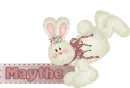 Rabbit - Maythe