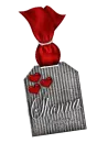 Shonna Tag