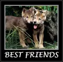 Best Friends