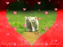 Happy Valentine's Day!