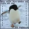 wish you were cool like me