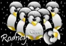 rodney penguins