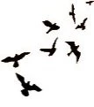 Flying Birds