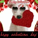 be my valentine? 