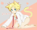 Neko Naruto