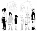 Growth