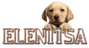 Elenitsa puppy