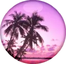 Palm Tree Button