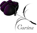 Berry Purple Rose Dark Secrets Demonic Leaves Razor Dark Secrets Collection Carina Marie sleekgraphics 