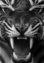 Black and White Tiger