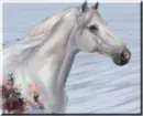 White Horse Animation