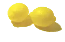 Fruit 04