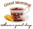 Good Morning