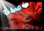 Te Amo Flower