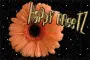 Flower Happy Greetz