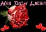 Rose HDL