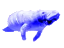 M02