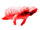 M03