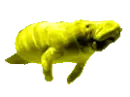 M04