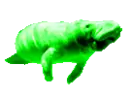 M05