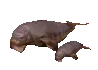 M06