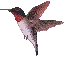 Bird 03
