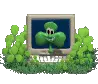 shamrock computer