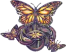 butterfly
