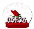 GLOBE ROSE JOFOL
