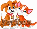 cute cat and dog Parihan