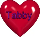 Tabby