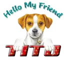 Hello my friend
