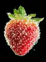 Sweet Strawberry