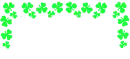 Clover border