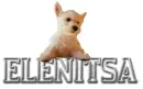 Dog elenitsa