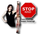 Stop, Abuse, peta